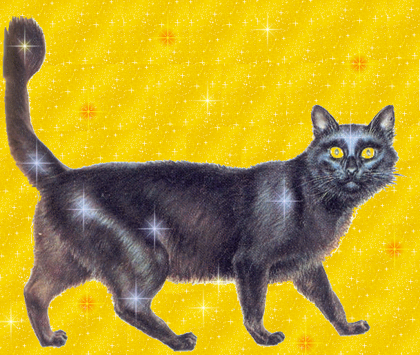 chat scint