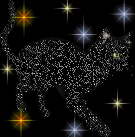 chat bril