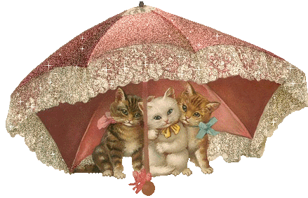 chat