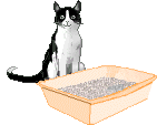 chats à remettre