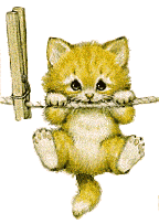 chats à remettre