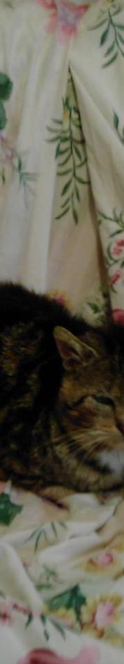 chalet, le chat laid - voir les poèmes