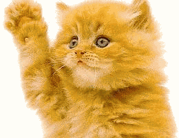 Chats