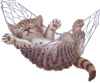 chats à rem