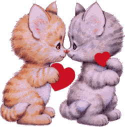 chats amour