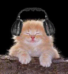 chats à re
