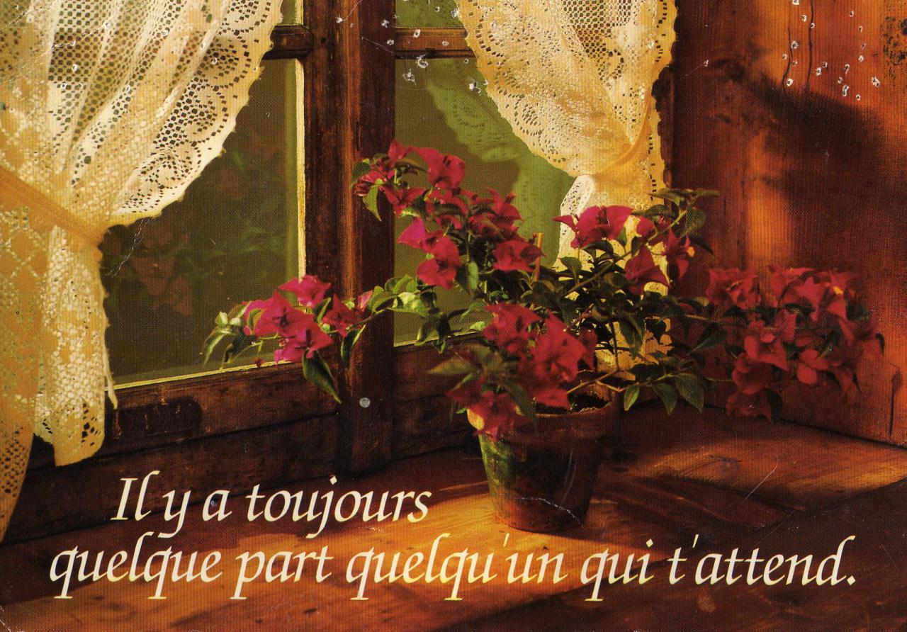 citation