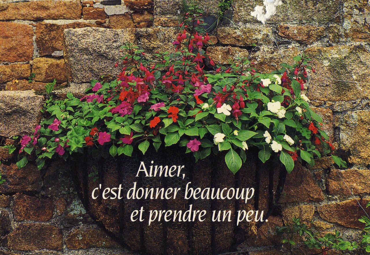 citation