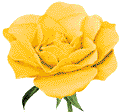 fleurs