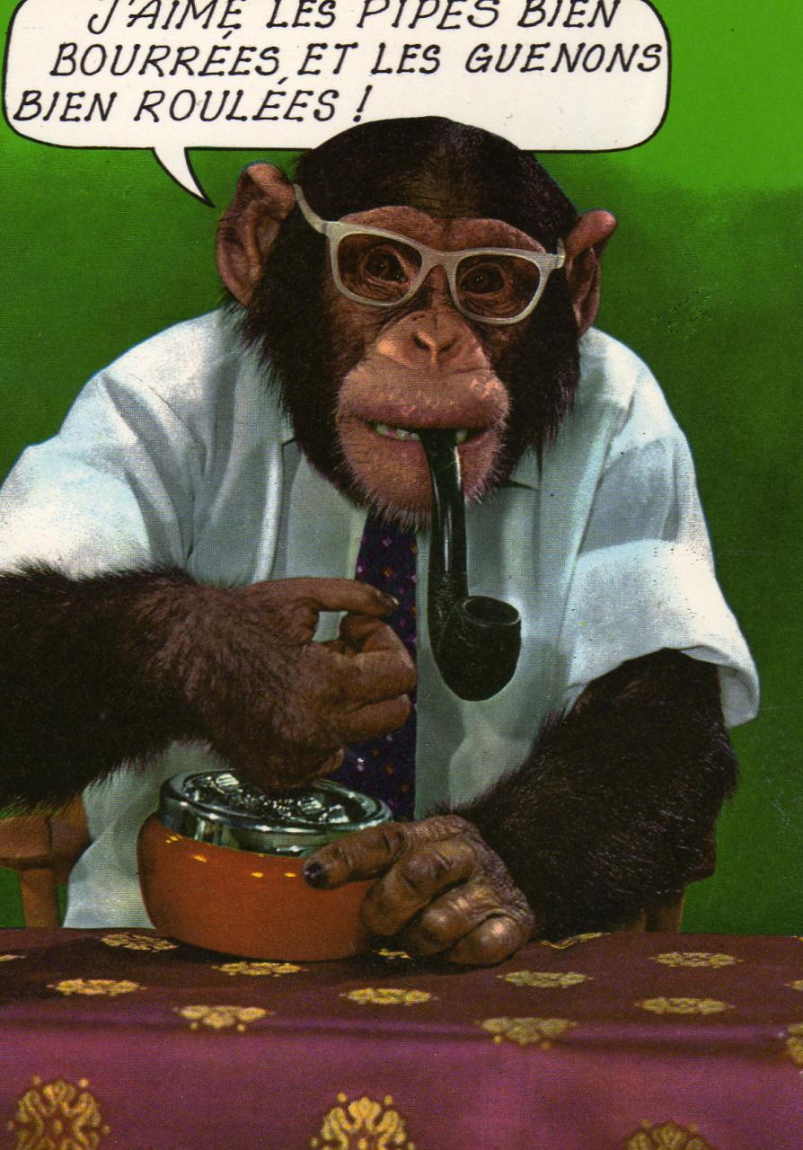 singe