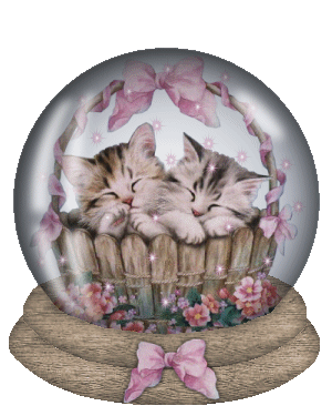 chats boule