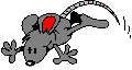 RAT