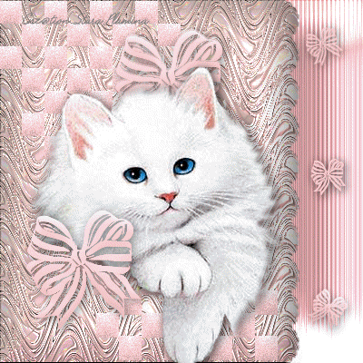 chat rose