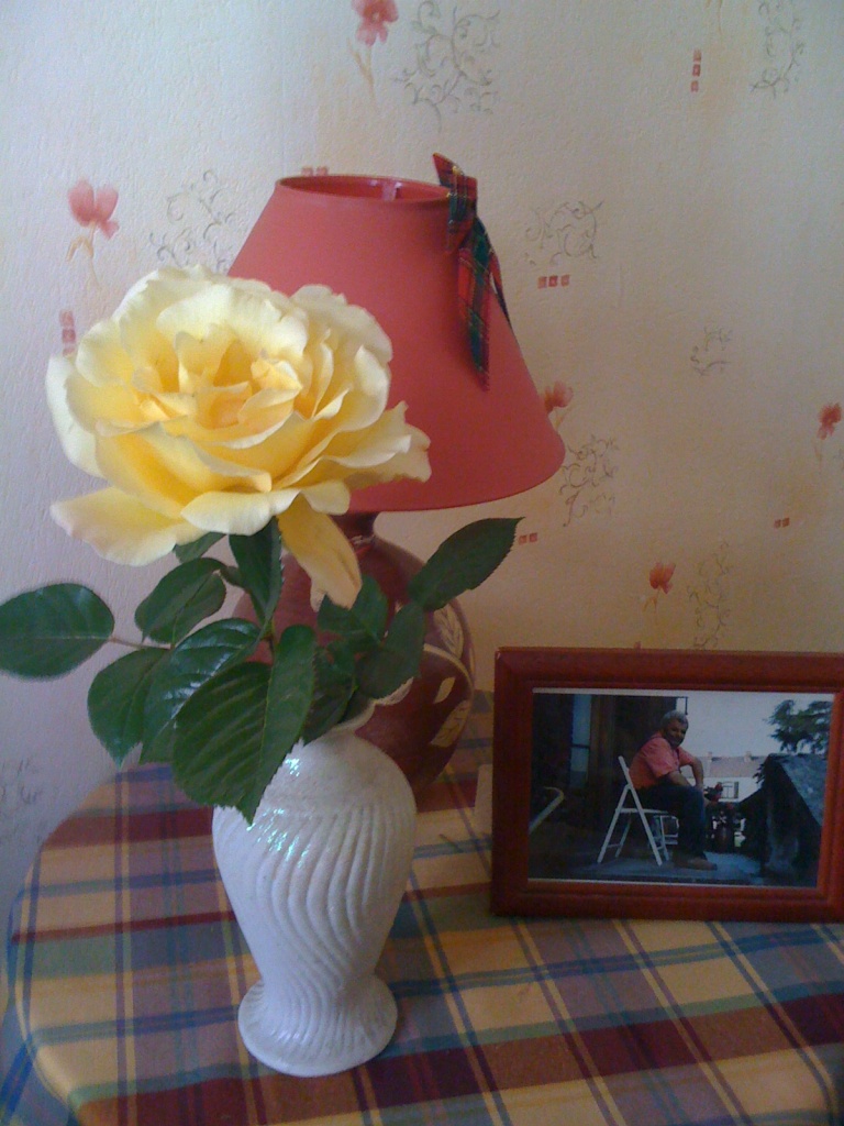 rose Régine