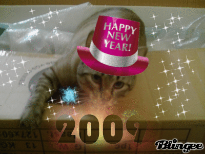 bonne année