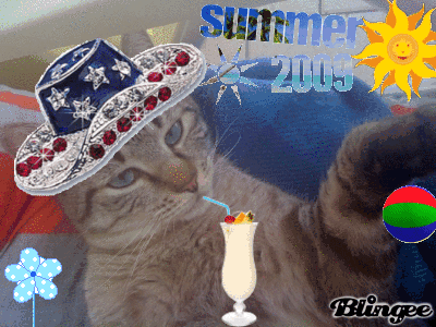 Pussy en vacances