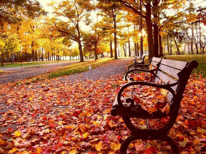 automne