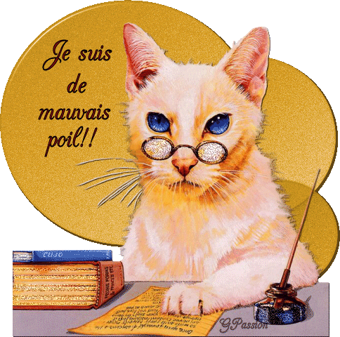 chat 