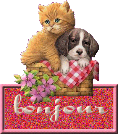  BONJOUR