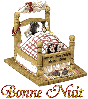 bonne nuit