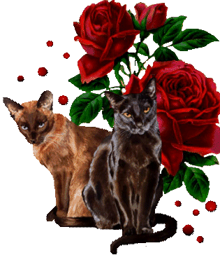 CHAT 