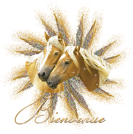 CHEVAUX 