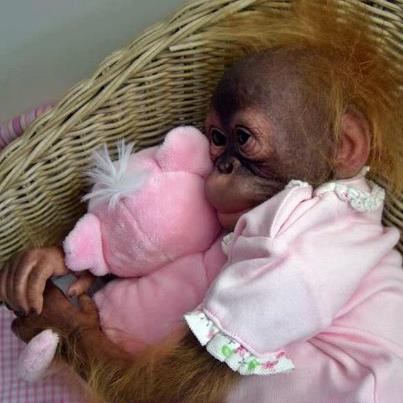 singe