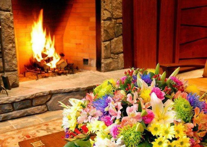 fleurs et feu