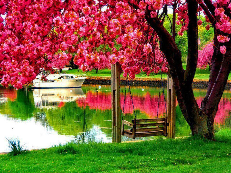 paysage