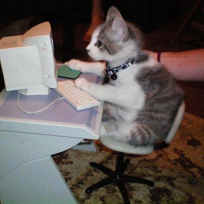 chat