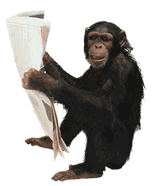 singe 